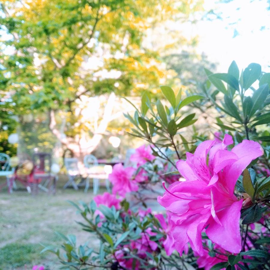 Bed and Breakfast Domaine De La Clef Des Champs Limeray Екстер'єр фото
