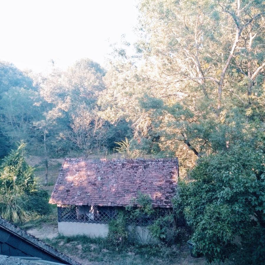 Bed and Breakfast Domaine De La Clef Des Champs Limeray Екстер'єр фото