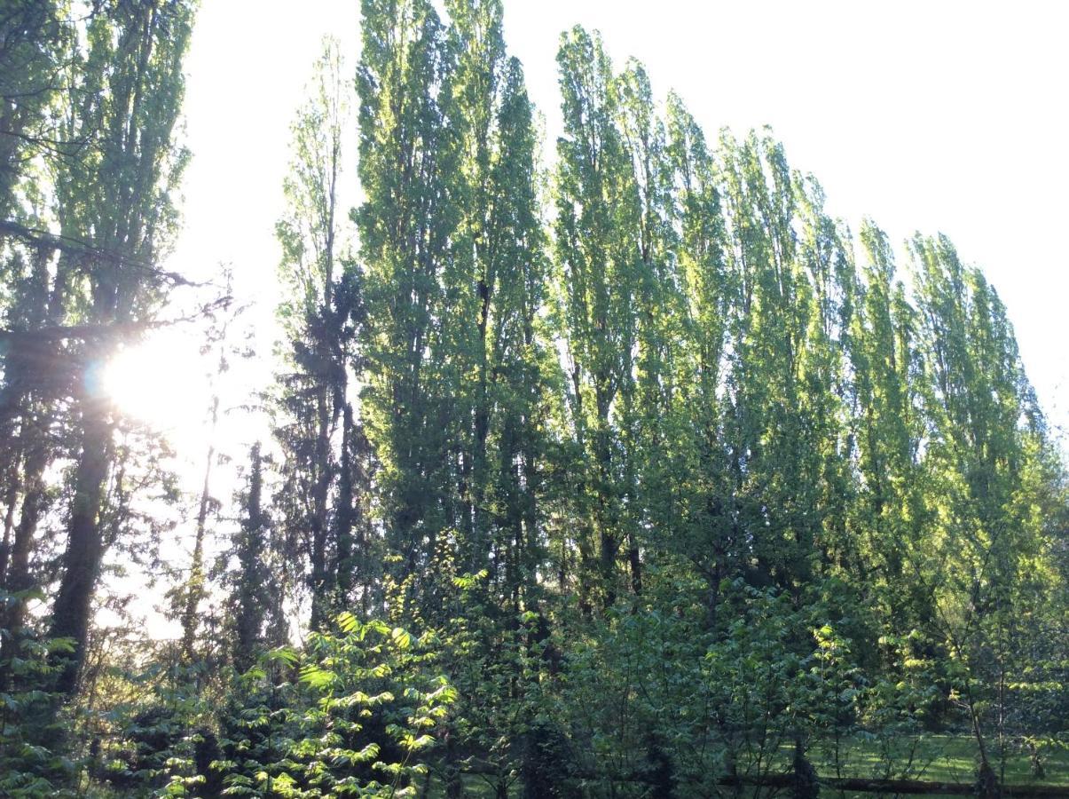 Bed and Breakfast Domaine De La Clef Des Champs Limeray Екстер'єр фото